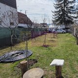 Teren intravilan de vanzare 500 mp in Campina, Oportunitate